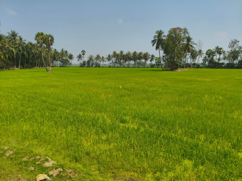  Agricultural Land 2 Acre for Sale in Karapa, Kakinada