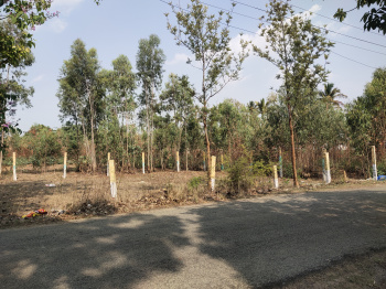  Residential Plot for Sale in Devanagundi, Hoskote, Bangalore