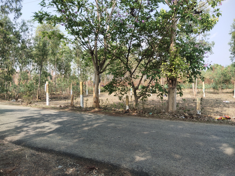  Residential Plot 5000 Sq.ft. for Sale in Devanagundi, Hoskote, Bangalore