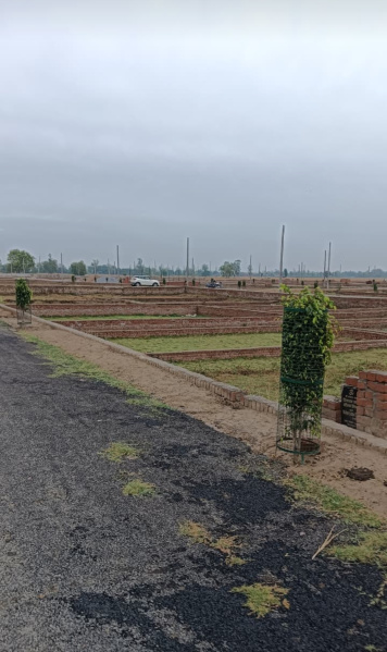  Residential Plot 1250 Sq.ft. for Sale in Gosaiganj, Lucknow
