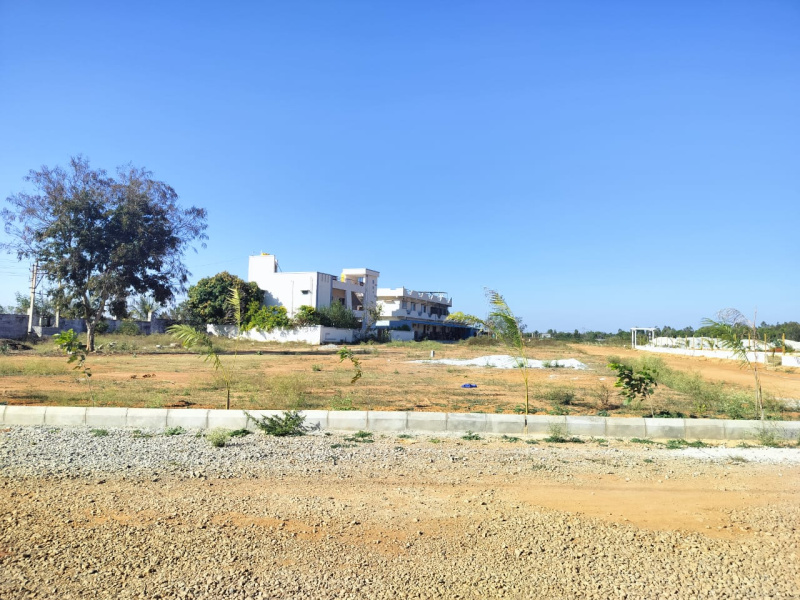  Residential Plot 1200 Sq.ft. for Sale in Hoskote Malur Road, Hoskote Malur Road, Bangalore