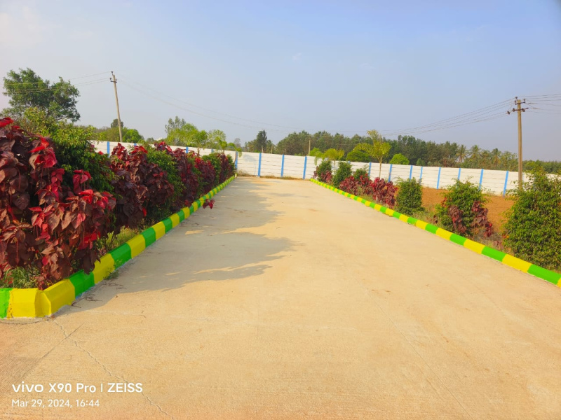  Residential Plot 12000 Sq.ft. for Sale in Hoskote, Bangalore