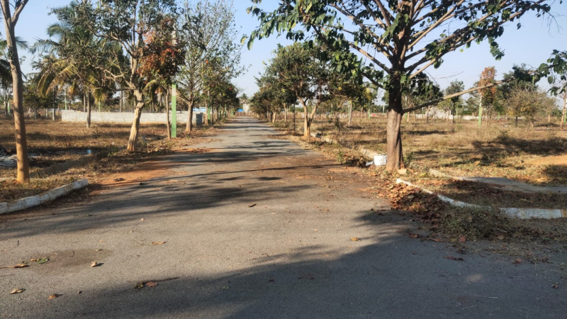  Residential Plot 12000 Sq.ft. for Sale in Hoskote, Bangalore