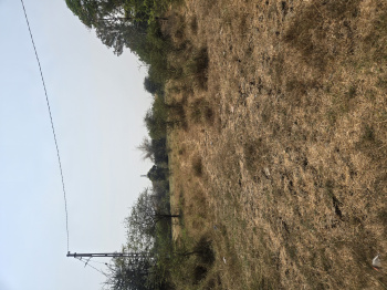  Industrial Land for Sale in Karwad, Vapi