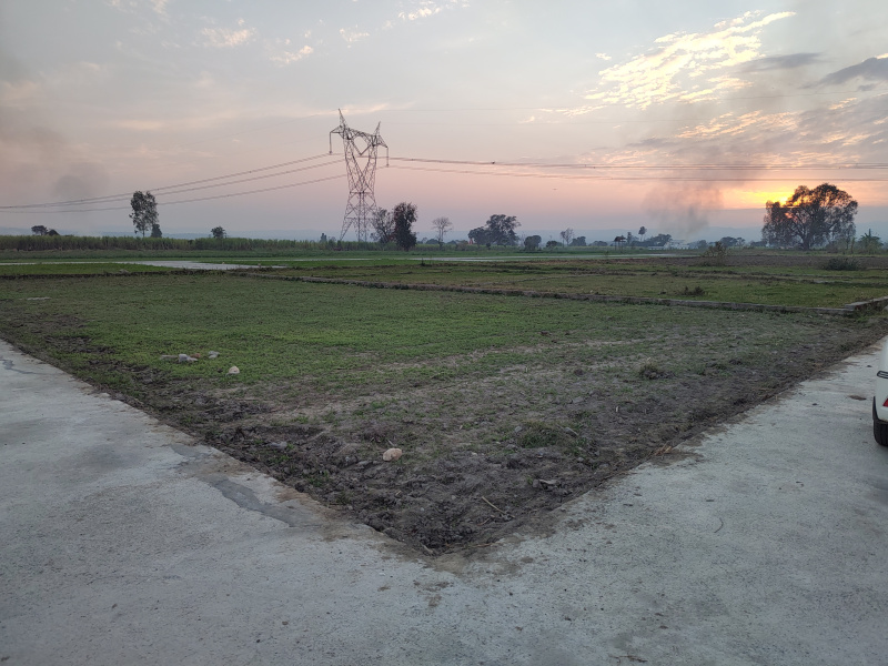  Residential Plot 200 Sq. Yards for Sale in Bhaniawala, Dehradun