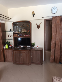 3 BHK Flat for Sale in Kothrud, Pune