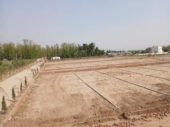  Residential Plot for Sale in Dharmawala, Vikas Nagar, Dehradun