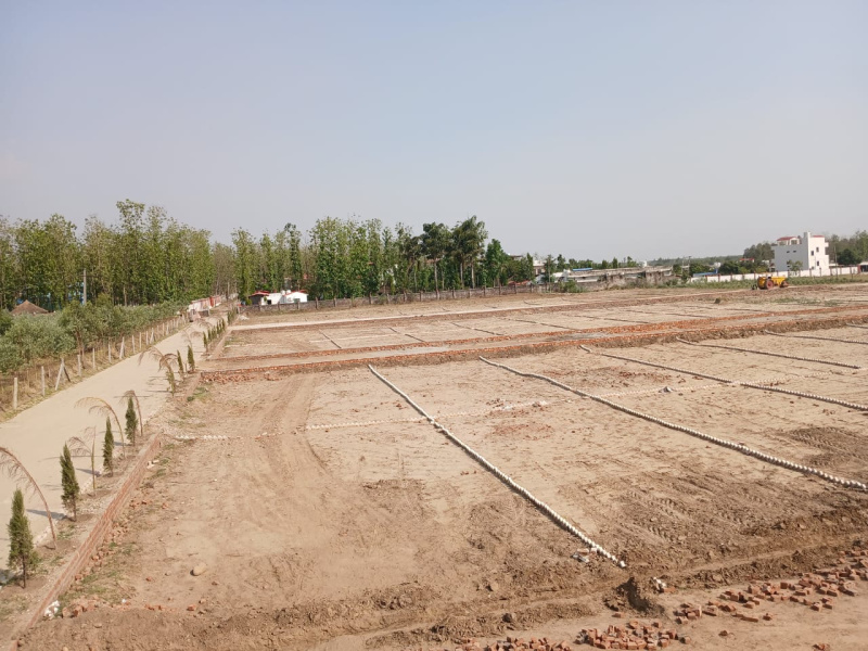  Residential Plot 1680 Sq.ft. for Sale in Dharmawala, Vikas Nagar, Dehradun