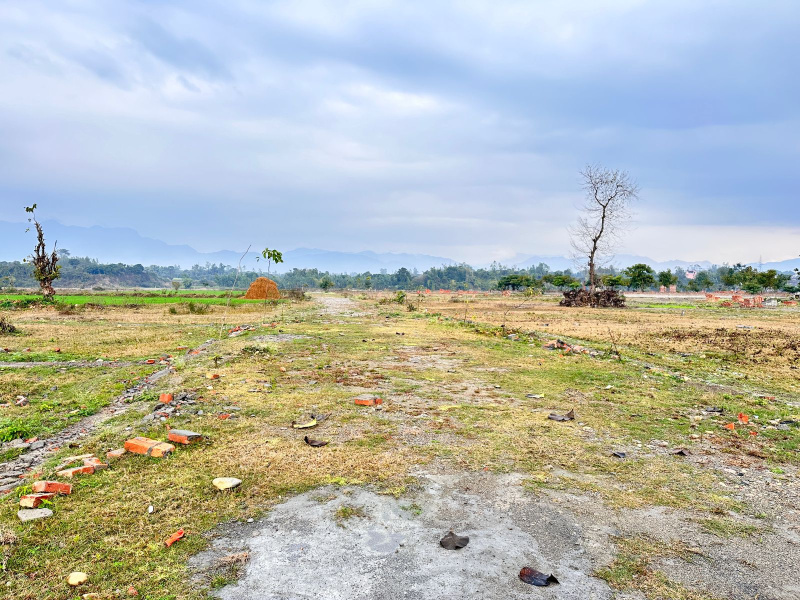  Residential Plot 1680 Sq.ft. for Sale in Dharmawala, Vikas Nagar, Dehradun