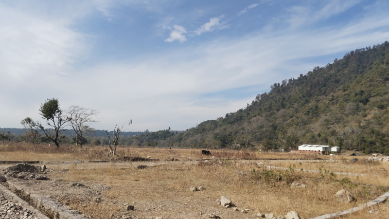  Residential Plot 300 Sq. Yards for Sale in Thano, Dehradun