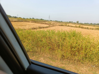  Agricultural Land for Sale in Kharora, Raipur