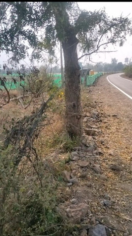  10 Acre Agricultural/Farm Land for Sale in Sehore Road, Bhopal