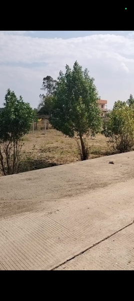  4000 Sq.ft. Agricultural/Farm Land for Sale in Bypass Road, Bhopal