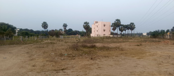  Residential Plot for Sale in Adi Annamalai, Tiruvannamalai