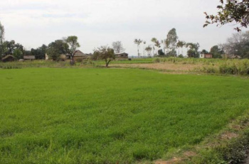  Agricultural Land for Sale in Anantpura, Kota