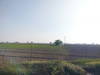  Agricultural Land for Sale in Indragarh, Bundi