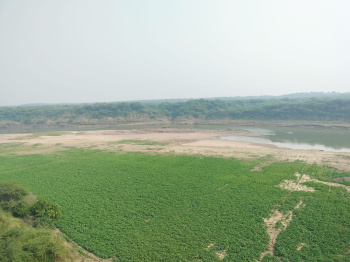  Agricultural Land for Sale in Indergarh, Bundi