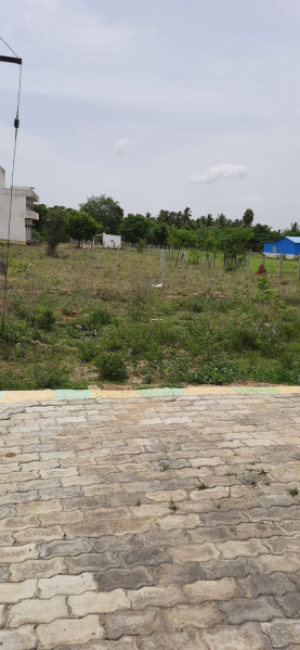  Residential Plot 1500 Sq.ft. for Sale in Chettinayakampatti, Dindigul