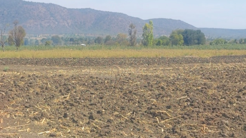  Agricultural Land 2 Acre for Sale in Mysore Road, Mysore Road, Bangalore