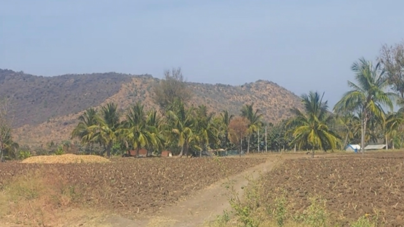  Agricultural Land 2 Acre for Sale in Mysore Road, Mysore Road, Bangalore