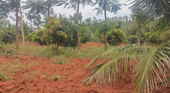  Agricultural Land for Sale in Kanakapura Road, Bangalore