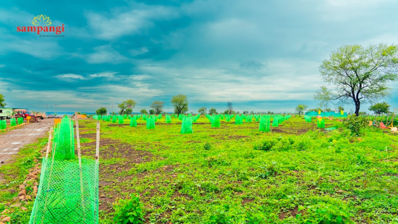  Agricultural Land 605 Sq. Yards for Sale in Narayankhed, Sangareddy