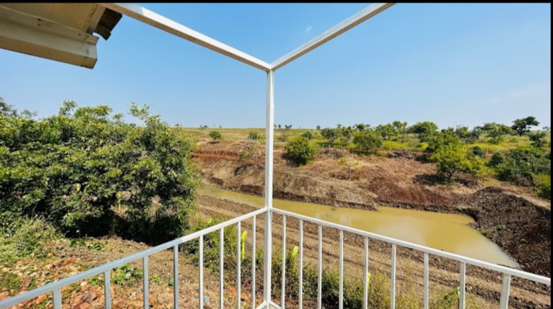  Agricultural Land 605 Sq. Yards for Sale in Narayankhed, Sangareddy