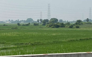  Agricultural Land for Sale in Ponneri, Thiruvallur