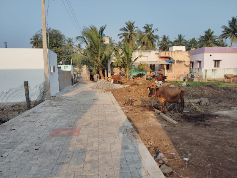  Residential Plot 2123 Sq.ft. for Sale in Sithanur, Salem