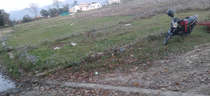  Residential Plot 20963 Sq.ft. for Sale in Doiwala, Dehradun