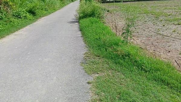  Agricultural Land 14 Acre for Sale in Suar, Rampur