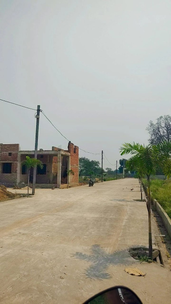  Residential Plot 1200 Sq.ft. for Sale in Koni, Bilaspur