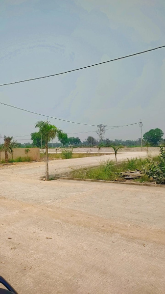  Residential Plot 1200 Sq.ft. for Sale in Koni, Bilaspur