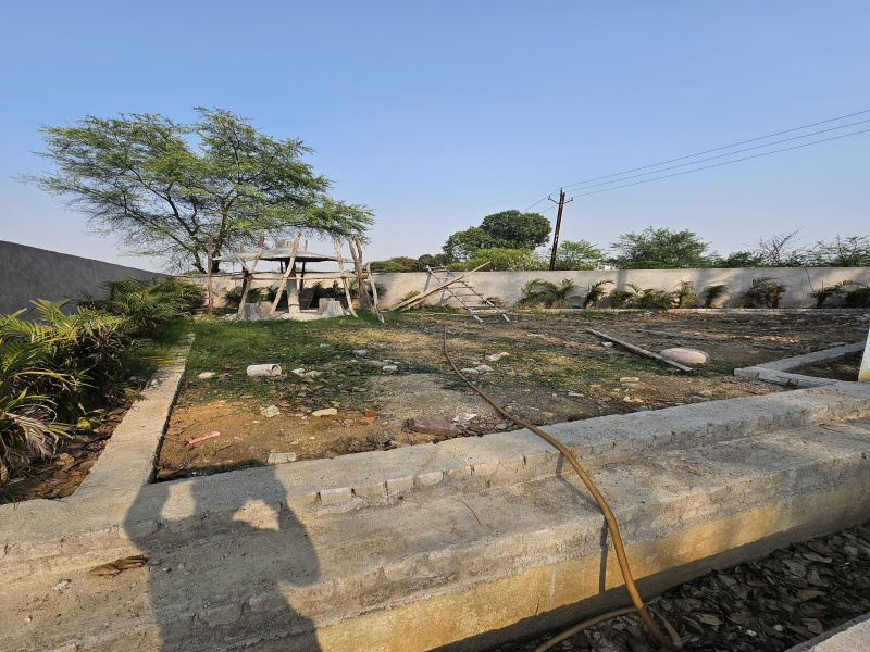  Residential Plot 1200 Sq.ft. for Sale in Koni, Bilaspur