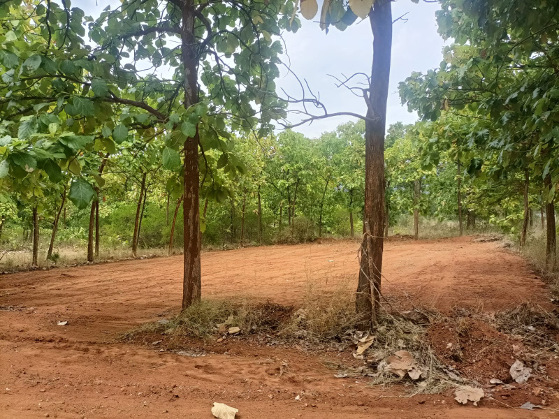  Residential Plot 11 Cent for Sale in Periyanaickenpalayam, Coimbatore