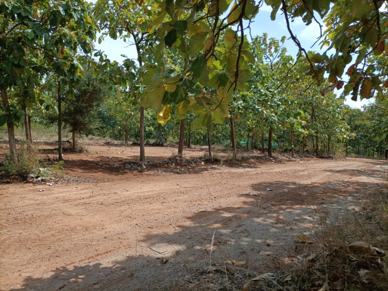  Residential Plot 11 Cent for Sale in Periyanaickenpalayam, Coimbatore