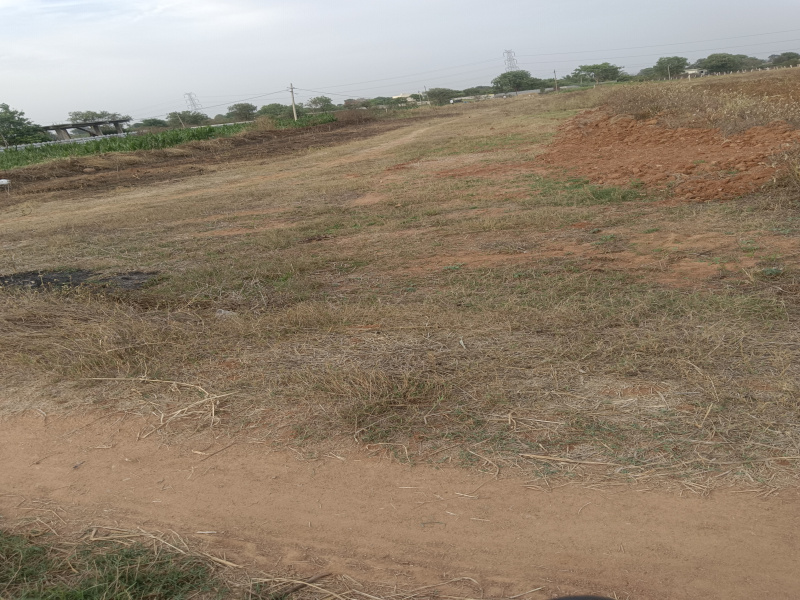  Residential Plot 1 Acre for Sale in Shabad, Rangareddy