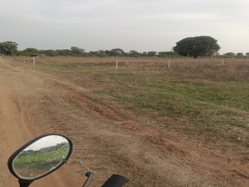  Residential Plot 1 Acre for Sale in Shabad, Rangareddy