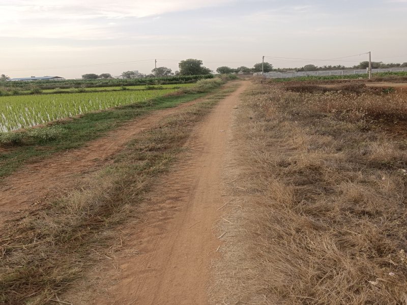  Residential Plot 18 Guntha for Sale in Shabad, Rangareddy