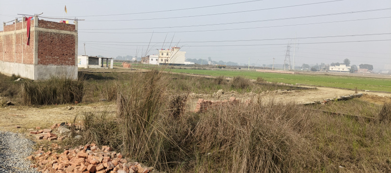  1100 Sq.ft. Residential Plot for Sale in Tal Kandala, Gorakhpur