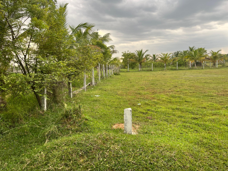  Industrial Land 17 Acre for Sale in Maduramangalam, Kanchipuram