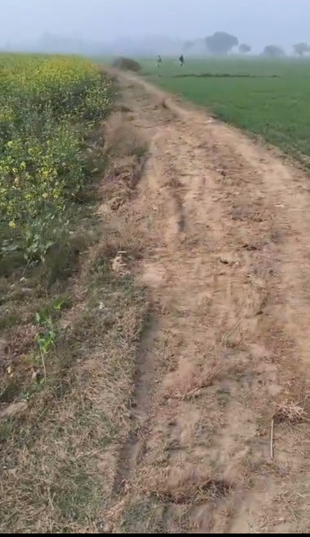  54 Bigha Agricultural/Farm Land for Sale in Shikarpur Bulandshahr