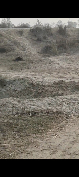  22 Bigha Agricultural/Farm Land for Sale in Atrauli, Aligarh