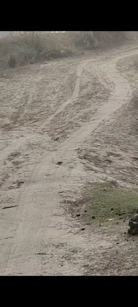  22 Bigha Agricultural/Farm Land for Sale in Atrauli, Aligarh