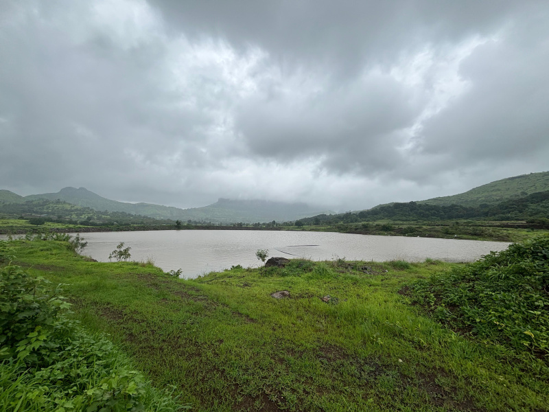  Residential Plot 10 Guntha for Sale in Trimbakeshwar, Nashik