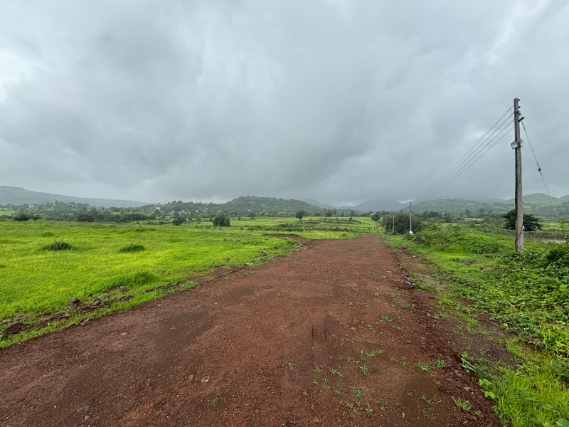  Residential Plot 10 Guntha for Sale in Trimbakeshwar, Nashik
