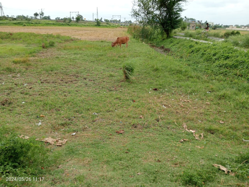  Agricultural Land 18 Katha for Sale in Chinsurah, Hooghly