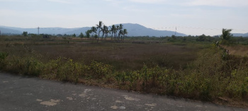  Agricultural Land for Sale in Murud, Raigad