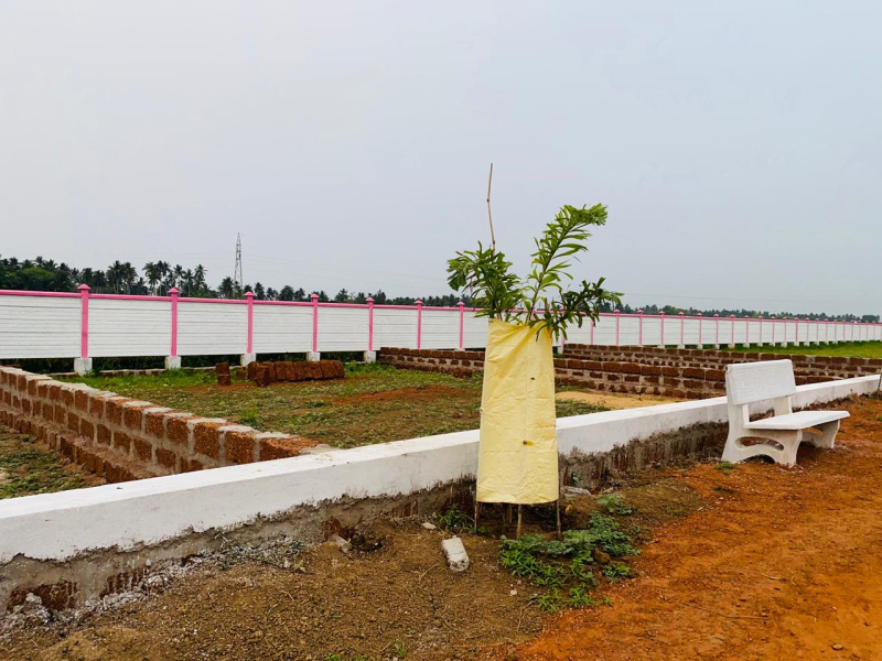  Residential Plot 2000 Sq.ft. for Sale in Malatipatpur, Puri