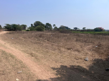  Agricultural Land for Sale in Dharmasagar, Warangal